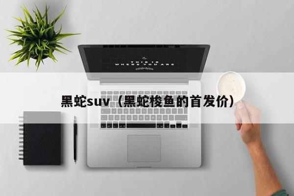 黑蛇suv（黑蛇梭鱼的首发价）-图1