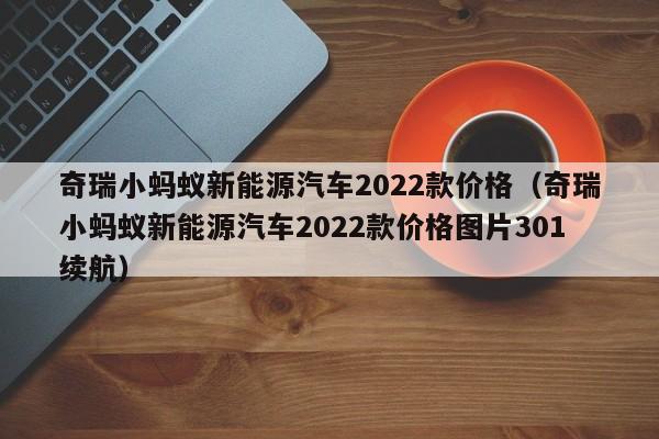 奇瑞小蚂蚁新能源汽车2022款价格（奇瑞小蚂蚁新能源汽车2022款价格图片301续航）-图1