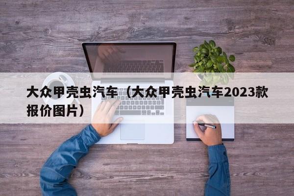 大众甲壳虫汽车（大众甲壳虫汽车2023款报价图片）-图1