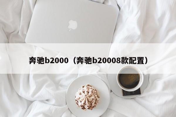 奔驰b2000（奔驰b20008款配置）-图1