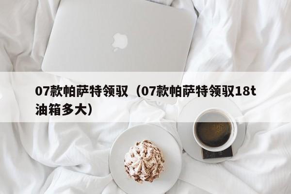 07款帕萨特领驭（07款帕萨特领驭18t油箱多大）-图1