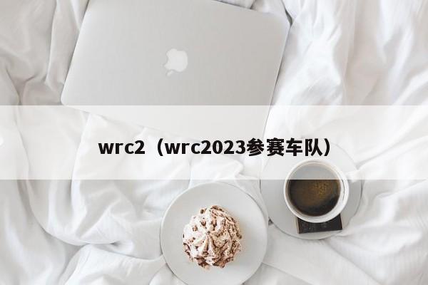 wrc2（wrc2023参赛车队）-图1