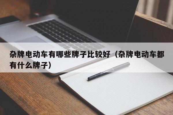 杂牌电动车有哪些牌子比较好（杂牌电动车都有什么牌子）-图1