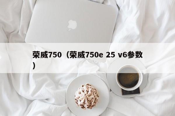 荣威750（荣威750e 25 v6参数）-图1