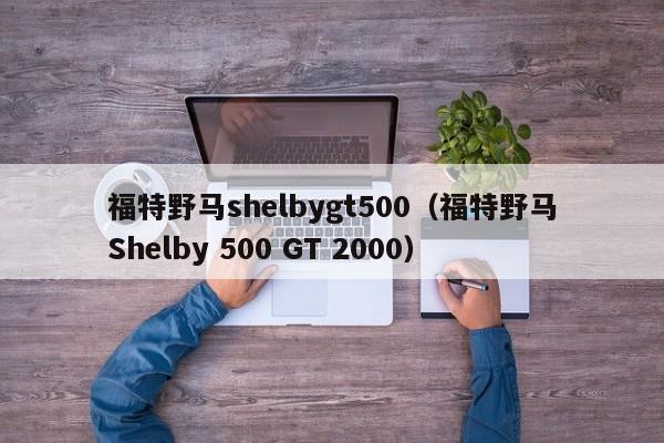 福特野马shelbygt500（福特野马Shelby 500 GT 2000）-图1