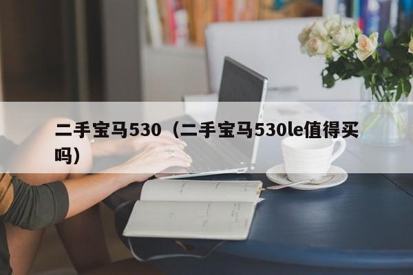 二手宝马530（二手宝马530le值得买吗）-图1