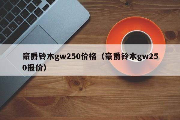 豪爵铃木gw250价格（豪爵铃木gw250报价）-图1