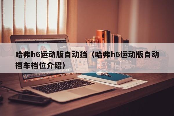 哈弗h6运动版自动挡（哈弗h6运动版自动挡车档位介绍）-图1