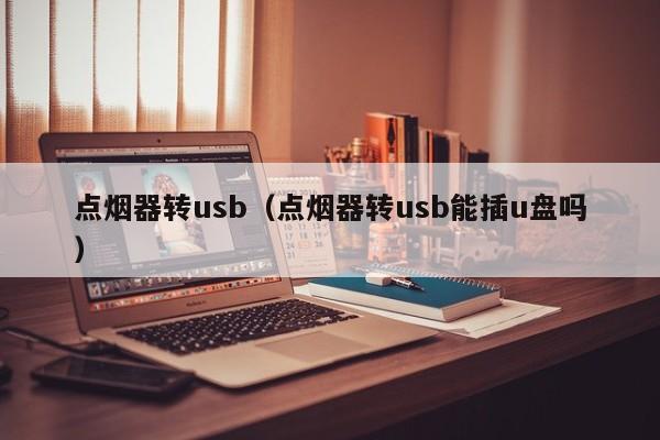 点烟器转usb（点烟器转usb能插u盘吗）-图1