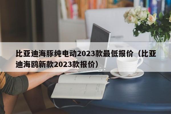 比亚迪海豚纯电动2023款最低报价（比亚迪海鸥新款2023款报价）-图1