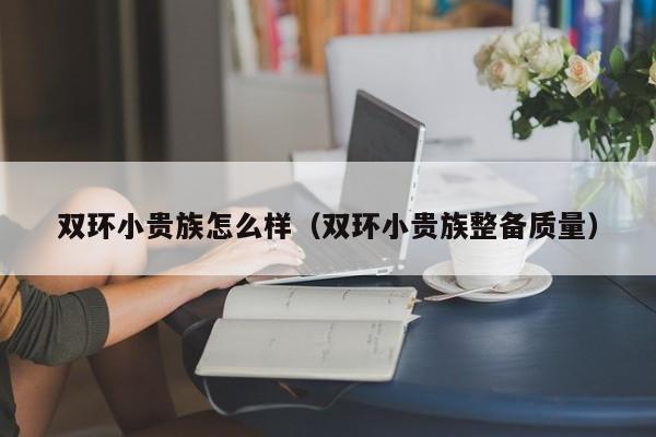 双环小贵族怎么样（双环小贵族整备质量）-图1