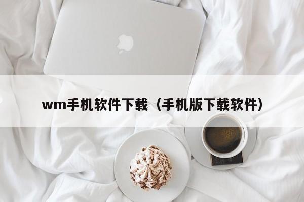 wm手机软件下载（手机版下载软件）-图1