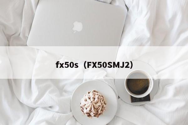 fx50s（FX50SMJ2）-图1