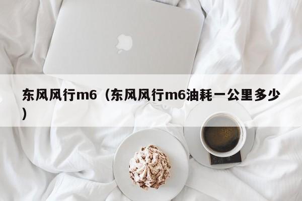 东风风行m6（东风风行m6油耗一公里多少）-图1