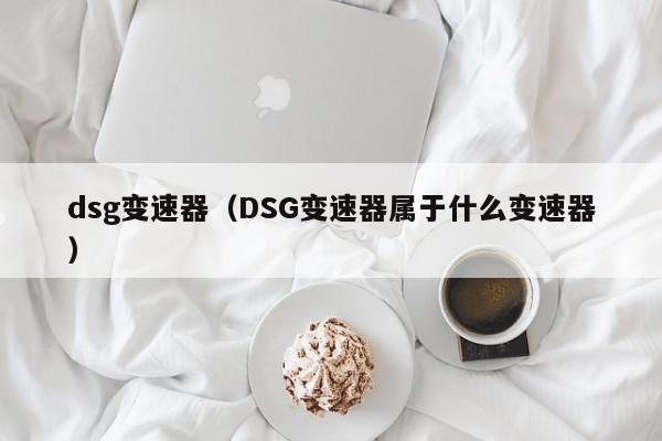 dsg变速器（DSG变速器属于什么变速器）-图1