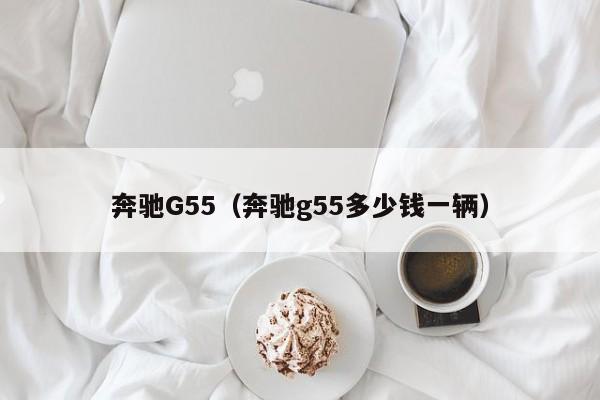 奔驰G55（奔驰g55多少钱一辆）-图1