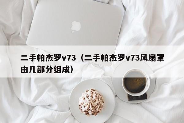 二手帕杰罗v73（二手帕杰罗v73风扇罩由几部分组成）-图1