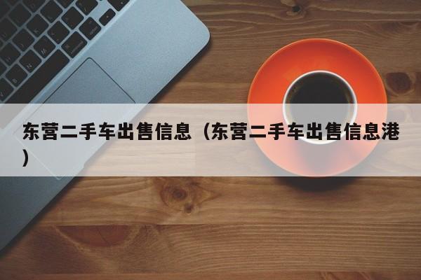 东营二手车出售信息（东营二手车出售信息港）-图1