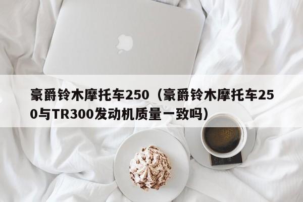 豪爵铃木摩托车250（豪爵铃木摩托车250与TR300发动机质量一致吗）-图1