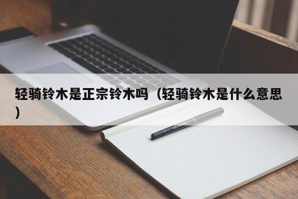 轻骑铃木是正宗铃木吗（轻骑铃木是什么意思）-图1