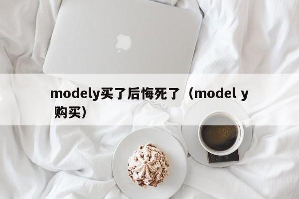 modely买了后悔死了（model y 购买）-图1