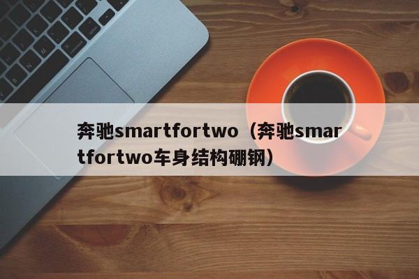 奔驰smartfortwo（奔驰smartfortwo车身结构硼钢）-图1