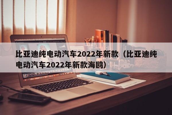 比亚迪纯电动汽车2022年新款（比亚迪纯电动汽车2022年新款海鸥）-图1