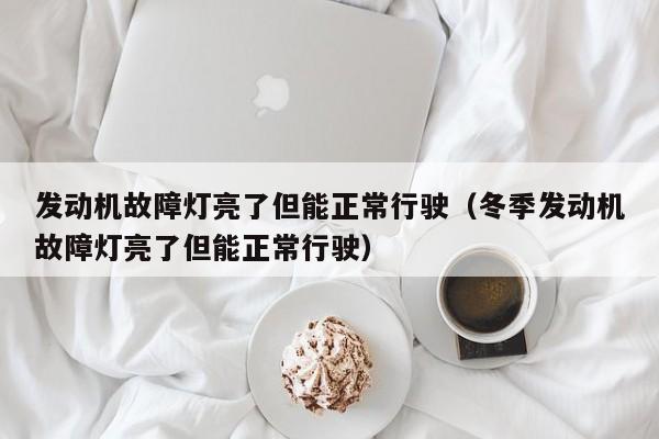 发动机故障灯亮了但能正常行驶（冬季发动机故障灯亮了但能正常行驶）-图1