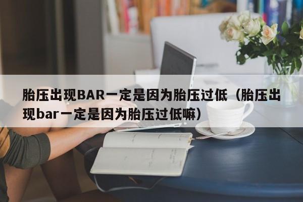 胎压出现BAR一定是因为胎压过低（胎压出现bar一定是因为胎压过低嘛）-图1