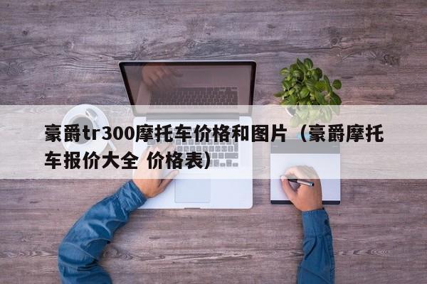 豪爵tr300摩托车价格和图片（豪爵摩托车报价大全 价格表）-图1