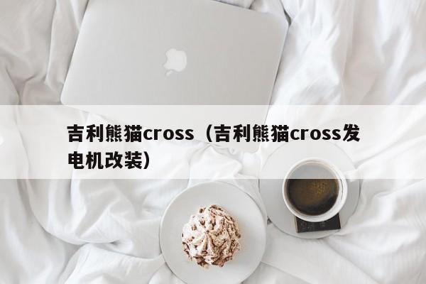 吉利熊猫cross（吉利熊猫cross发电机改装）-图1