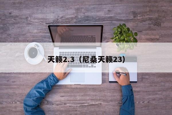 天籁2.3（尼桑天籁23）-图1