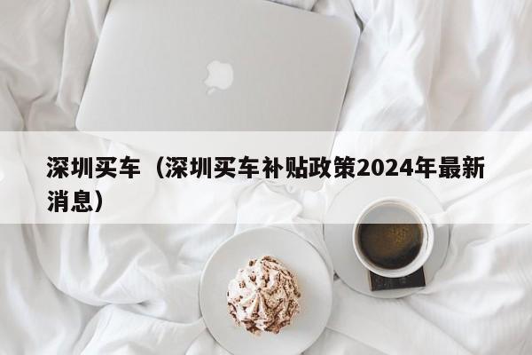 深圳买车（深圳买车补贴政策2024年最新消息）-图1