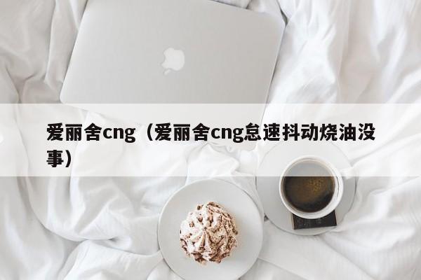 爱丽舍cng（爱丽舍cng怠速抖动烧油没事）-图1