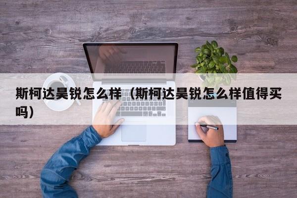 斯柯达昊锐怎么样（斯柯达昊锐怎么样值得买吗）-图1