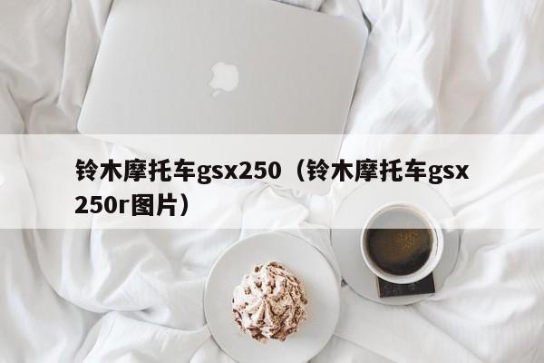 铃木摩托车gsx250（铃木摩托车gsx250r图片）-图1