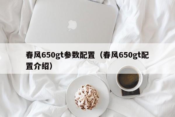 春风650gt参数配置（春风650gt配置介绍）-图1