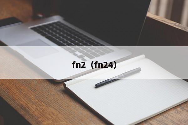 fn2（fn24）-图1