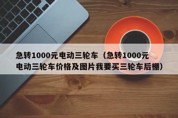 急转1000元电动三轮车（急转1000元电动三轮车价格及图片我要买三轮车后棚）-图1