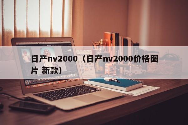 日产nv2000（日产nv2000价格图片 新款）-图1