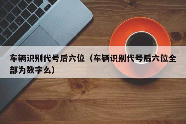 车辆识别代号后六位（车辆识别代号后六位全部为数字么）-图1