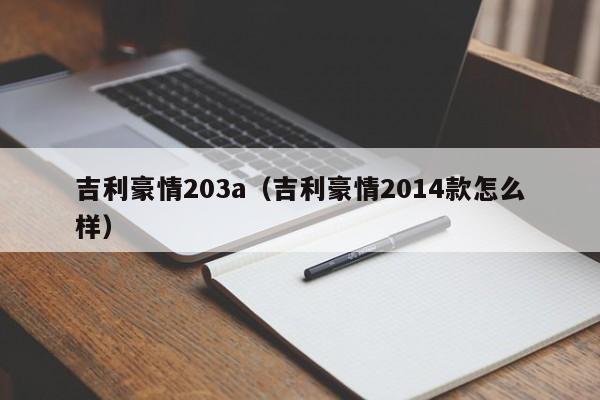 吉利豪情203a（吉利豪情2014款怎么样）-图1