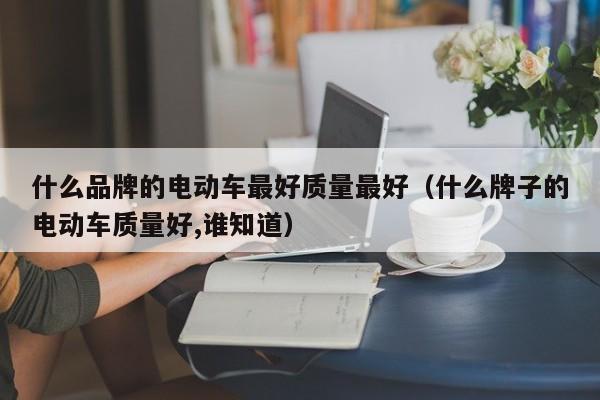 什么品牌的电动车最好质量最好（什么牌子的电动车质量好,谁知道）-图1