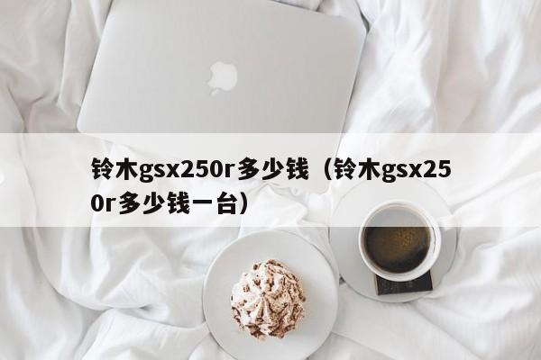 铃木gsx250r多少钱（铃木gsx250r多少钱一台）-图1