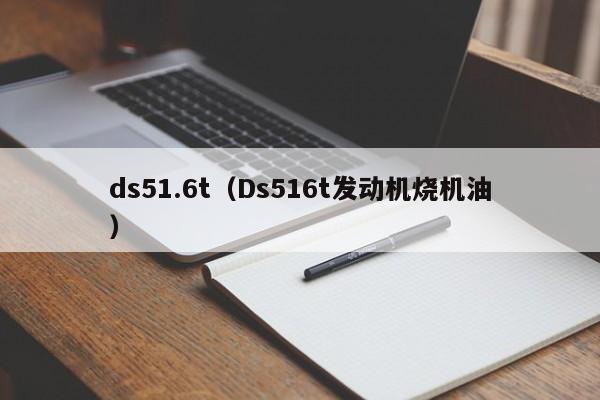 ds51.6t（Ds516t发动机烧机油）-图1