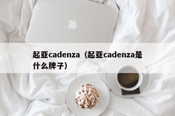 起亚cadenza（起亚cadenza是什么牌子）-图1