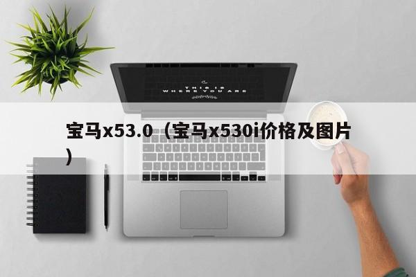 宝马x53.0（宝马x530i价格及图片）-图1