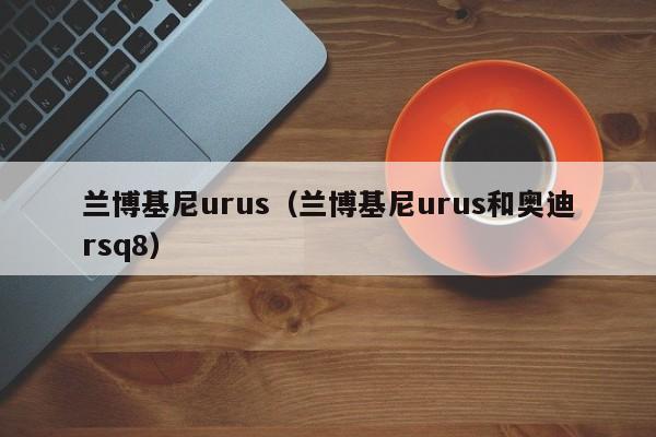 兰博基尼urus（兰博基尼urus和奥迪rsq8）-图1