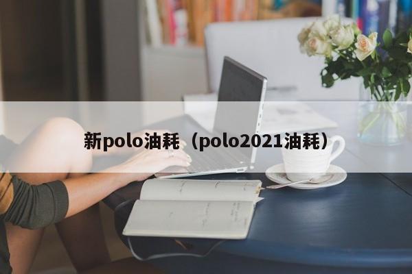 新polo油耗（polo2021油耗）-图1