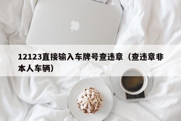 12123直接输入车牌号查违章（查违章非本人车辆）-图1